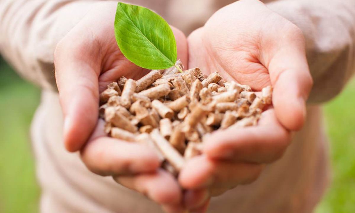 come scegliere pellet stufa edilcomemrcio grosseto