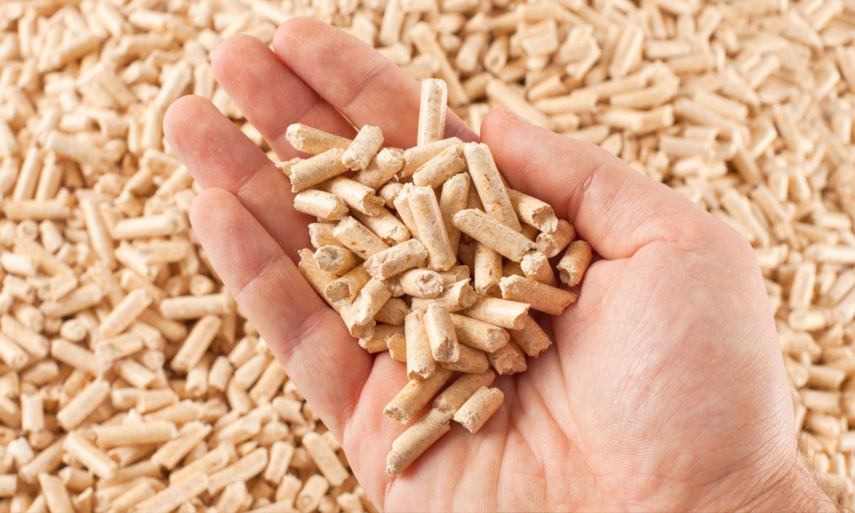 pellet prevendita grosseto risparmio follonica edilcommercio